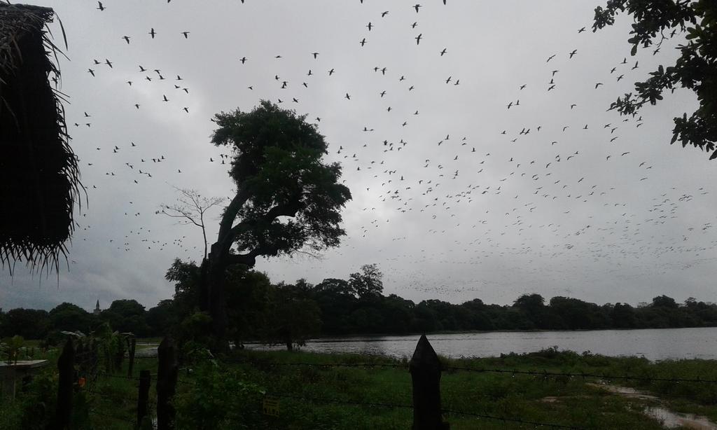 Lake Cabin Polonnaruwa Kültér fotó
